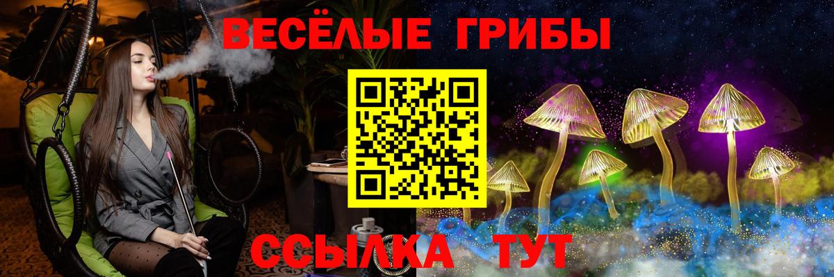 Гурьевск  Псилоцибиновые грибы MAGIC MUSHROOMS  Вход с VPN  Галлюциногенные грибы мухоморы 